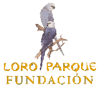 Loro Parque Fundaction